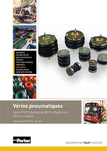 Catalogue Vérins pneumatiques 9109